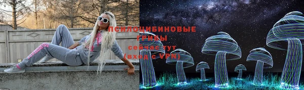 кокаин Каменка