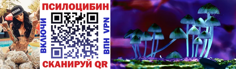 Галлюциногенные грибы Psilocybine cubensis Узловая